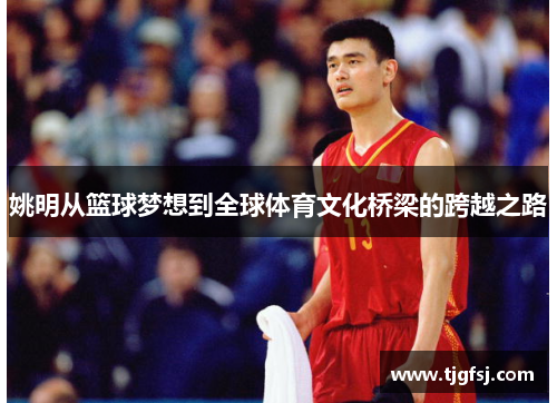 姚明从篮球梦想到全球体育文化桥梁的跨越之路