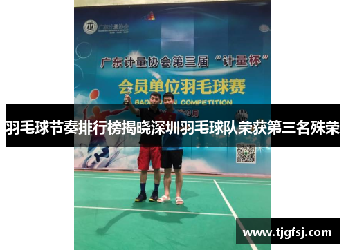 羽毛球节奏排行榜揭晓深圳羽毛球队荣获第三名殊荣