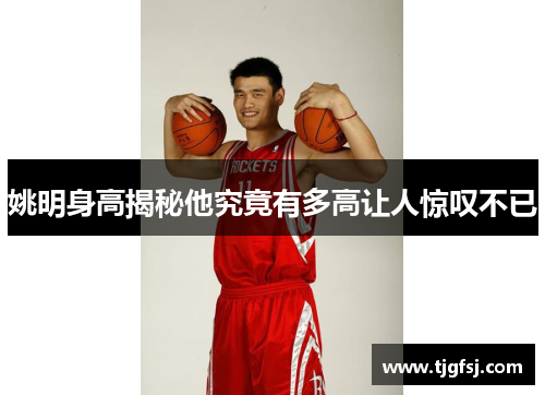 姚明身高揭秘他究竟有多高让人惊叹不已