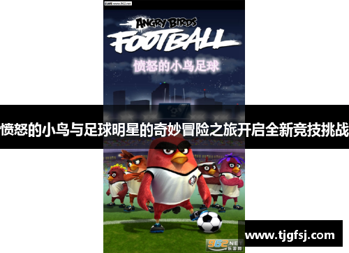 愤怒的小鸟与足球明星的奇妙冒险之旅开启全新竞技挑战