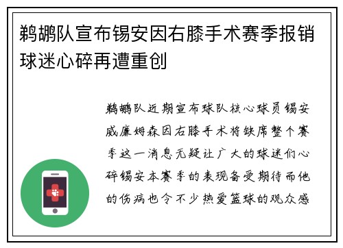 鹈鹕队宣布锡安因右膝手术赛季报销球迷心碎再遭重创