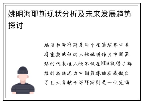 姚明海耶斯现状分析及未来发展趋势探讨